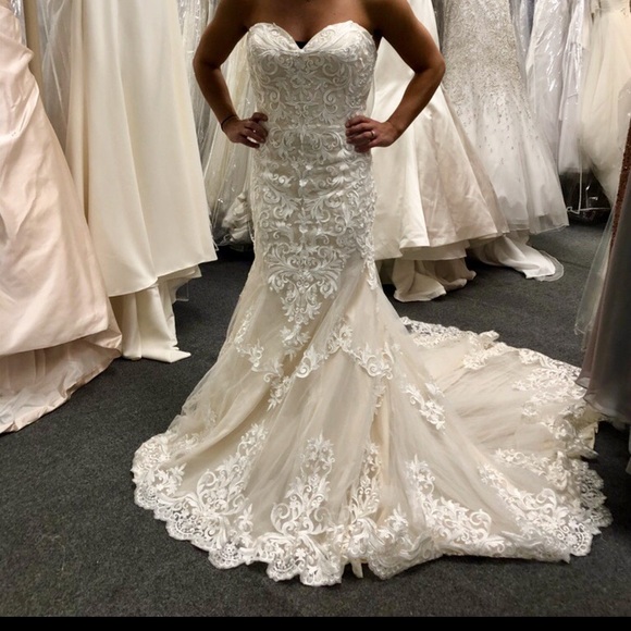 private collection Dresses & Skirts - Private collection wedding dress. New with tags